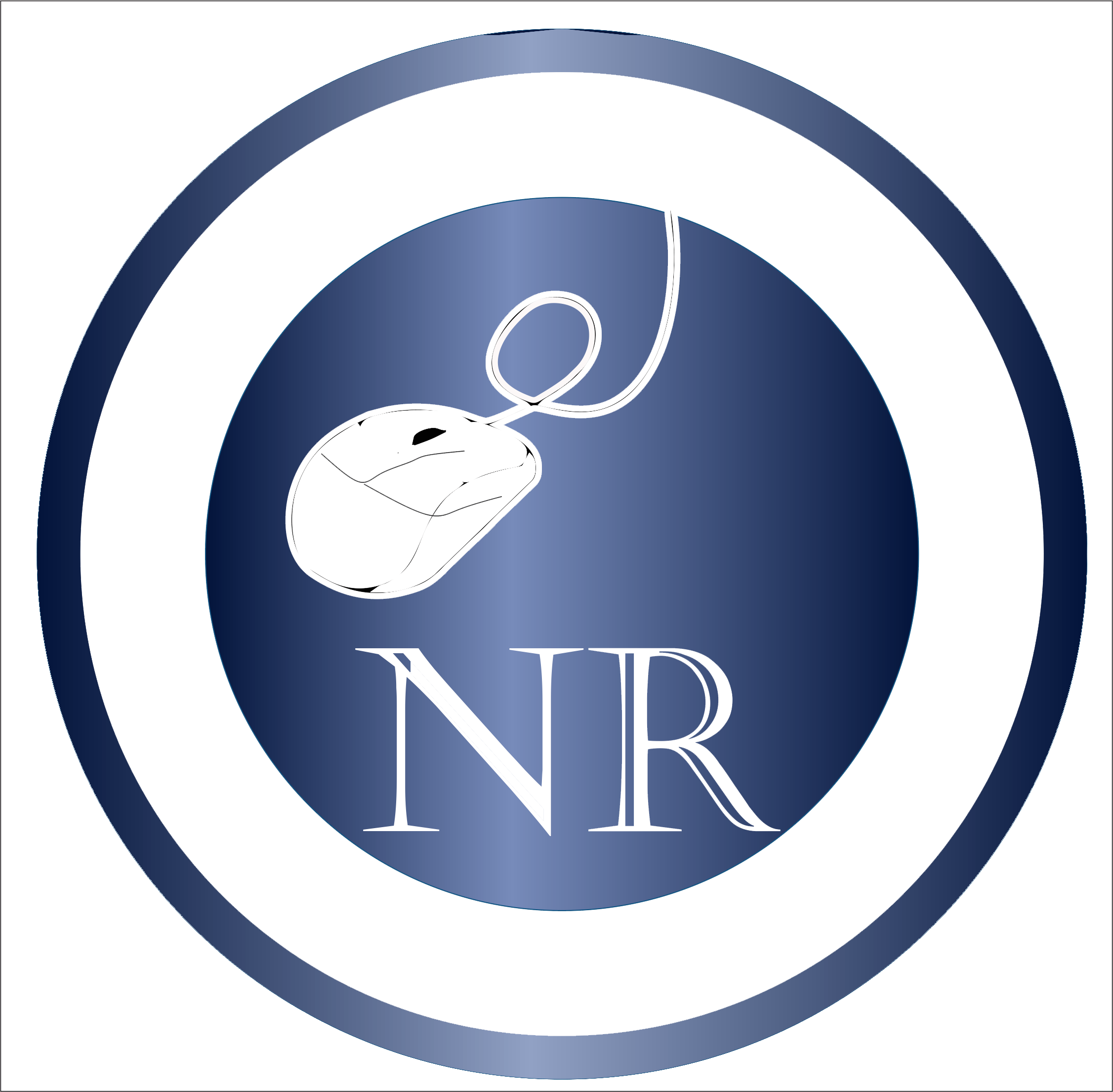 Profesor: Neptali Antony Reyes Cabrera